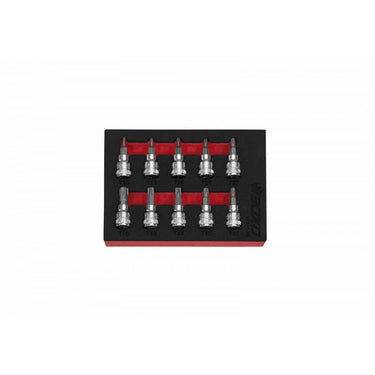 BoxoUSA 10-Piece 3/8" Drive Standard Length Torx Bit Socket Set | 1/9th EVA Foam BX311-R2