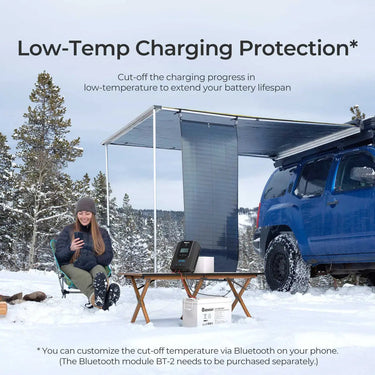 Rover Li 20 Amp MPPT Solar Charge Controller — w/ Bluetooth Module (BT2)