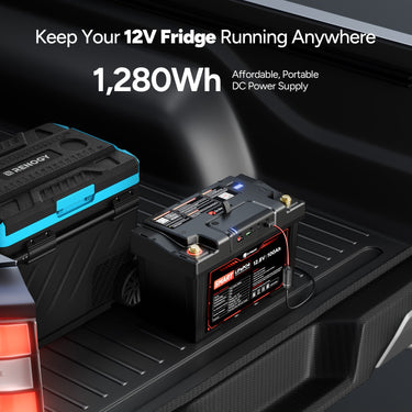 2-in-1 Smart PowerMax 1280Wh DC Portable Power Station & 12V 100Ah LiFePO4 Battery — 100Ah Battery