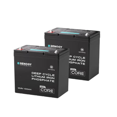 Mini Size 12V 100Ah DuoHeat Tech Lithium Iron Phosphate Battery