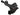 aFe Power aFe Power Chevrolet Camaro SS 13-15 V8-6.2L sc Momentum GT Cold Air Intake System w Pro DRY S Filter 51-74204 | 51-74204