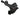 aFe Power aFe Power Chevrolet Camaro SS 13-15 V8-6.2L sc Momentum GT Cold Air Intake System w Pro 5R Filter 54-74204 | 54-74204