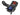 aFe Power aFe Power Honda Civic Type R 17-21 L4-2.0L t Black Series Carbon Fiber Cold Air Intake System w Pro 5R Filter 58-10002R | 58-10002R