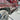 Rock Slide Engineering MERCEDES G-WAGEN 4x4 SQUARED STEP SLIDERS 1990-2018 MB G-CLASS 4x4 SQUARED | BD-SS-300-GWG