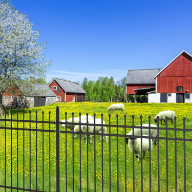 10x7 ft Steel Fence with 4 Rails, 30 Panels