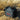 BoxoUSA BoxoUSA x AO Coolers Carbon Series 12 Pack Cooler AOCOOLER-12