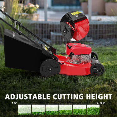 21" 144cc Gas Push 3-in-1 Lawn Mower  DB8621P