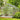 [10X16FT] Extra Large Heavy-Duty Backyard Polycarbonate Aluminum Greenhouse With Sliding Doors And Vents (SAK97526)