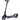 Patinete eléctrico Segway Ninebot P100S 