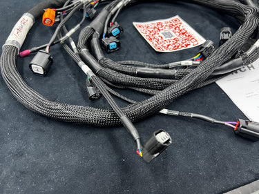 SPDZ1 OBD2 Budget Tucked K-Series Harness V2 K20 K24 Civic Integra DC2 EG EK (With Power Cord)